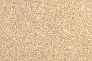 Ковролин Brintons Finepoint Degas Ivory bf 282 фото  | FLOORDEALER